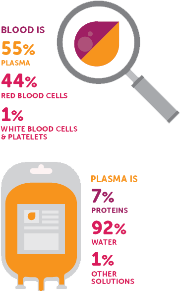 Plasma: What it is, what are its uses, and why it is essential